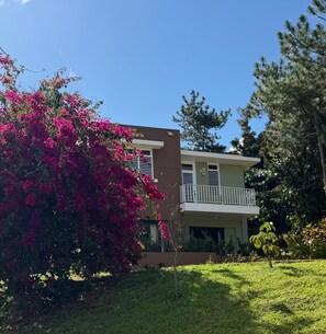 Un bâtiment à deux étages doté d’un balcon, entouré de verdure et d’un arbre en fleurs.