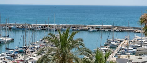 A marina with boats docked, a pier, and palm trees.