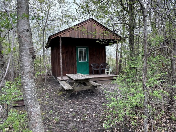 A rustic wooden cabin with a green door, surrounded by trees, featuring a picnic table and two chairs on a small porch.