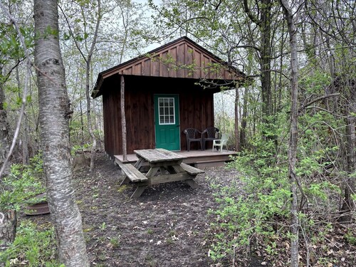 Secluded Cabin Escape with Fire Pit & Relaxing Outdoor Space in Macedon, New York