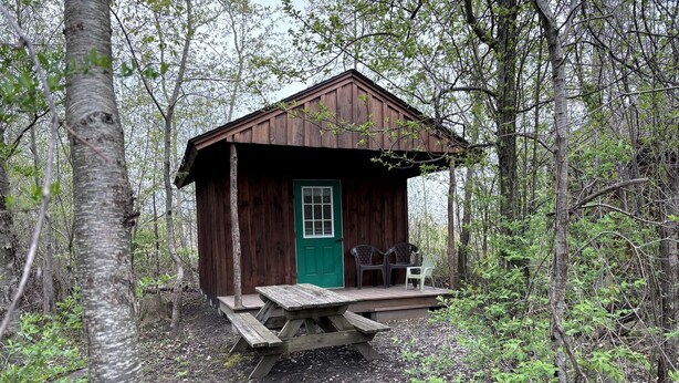 A rustic wooden cabin with a green door, surrounded by trees, featuring a picnic table and two chairs on a small porch.