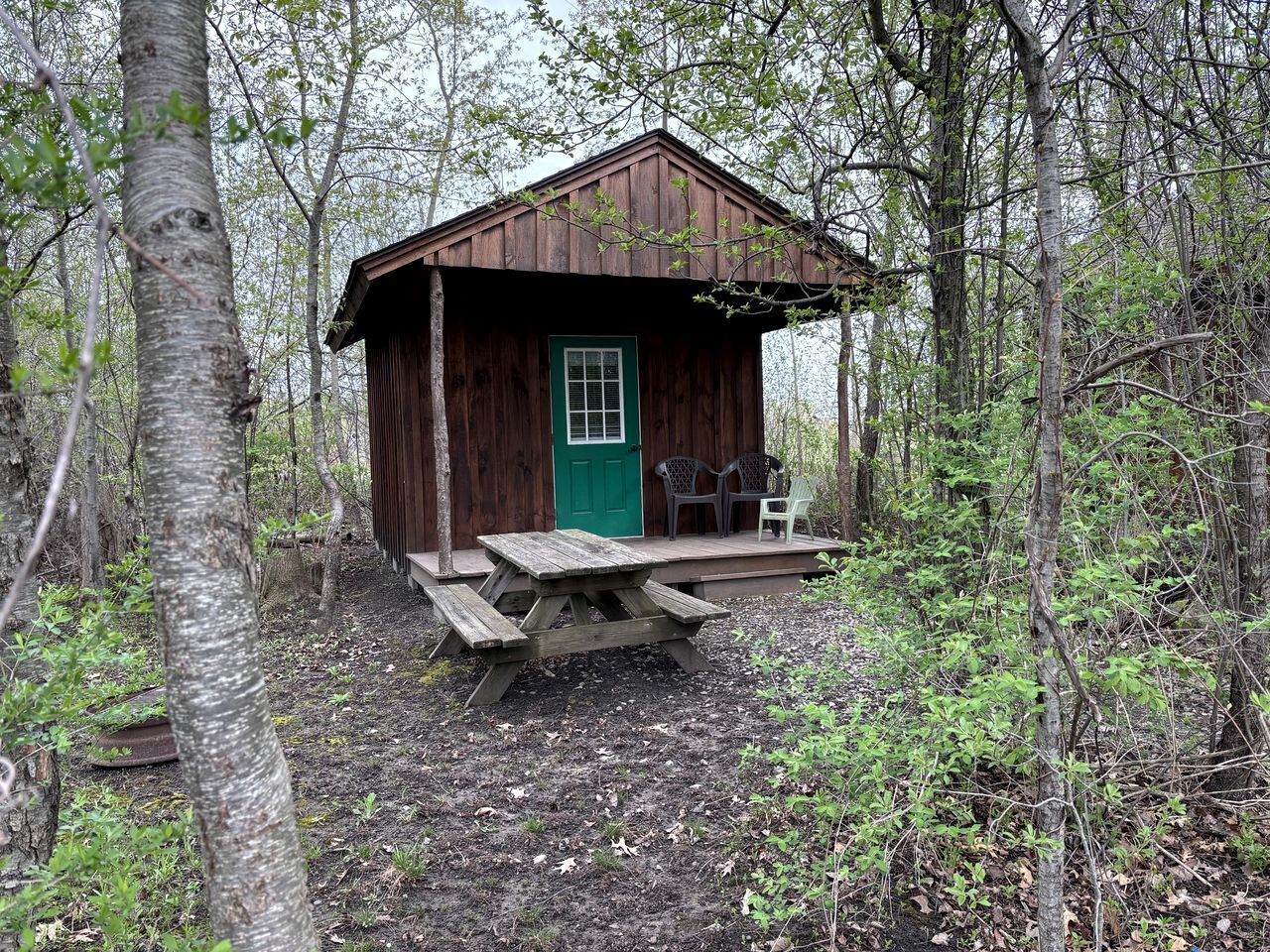 A rustic wooden cabin with a green door, surrounded by trees, featuring a picnic table and two chairs on a small porch.