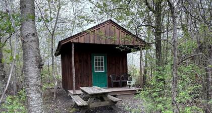 Secluded Cabin Escape with Fire Pit & Relaxing Outdoor Space in Macedon, New York