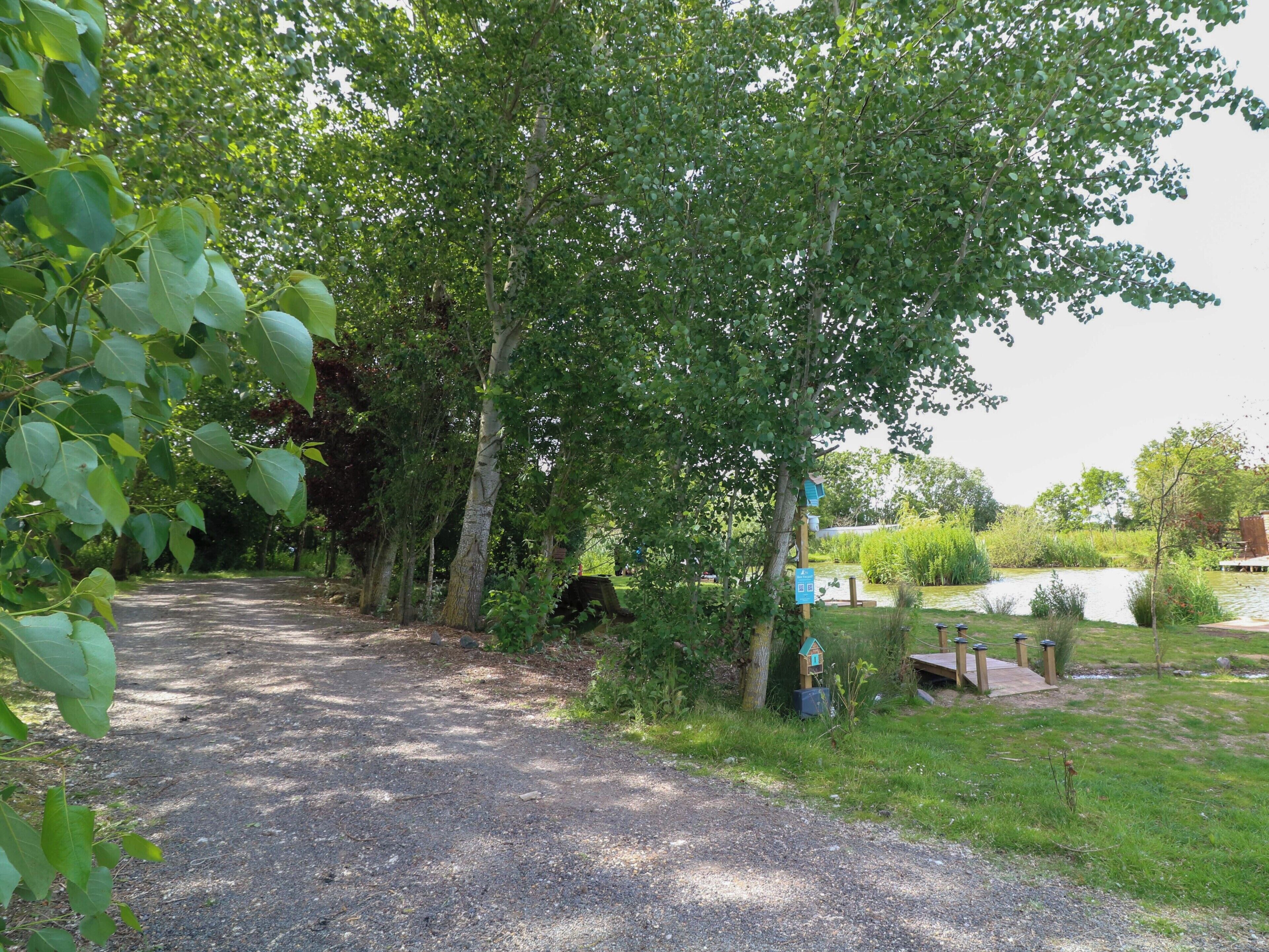 A gravel path leading through a wooded area with trees and a small pond.