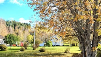 A residential area with a large tree, a grassy lawn, and a red building.