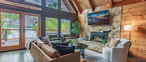 TV, fireplace, books