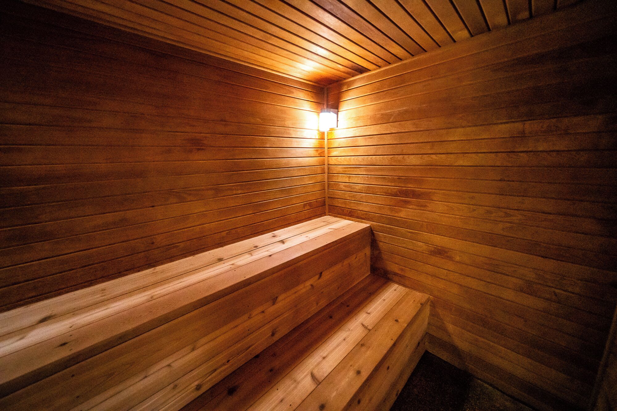Een sauna met houten wanden en banken.