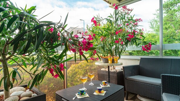 Un patio exterior con muebles de mimbre, una mesa con bebidas y una planta en maceta con flores rosadas.