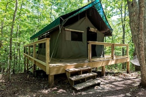 A wooden cabin with a green roof, a deck, and a window overlooking a forest.