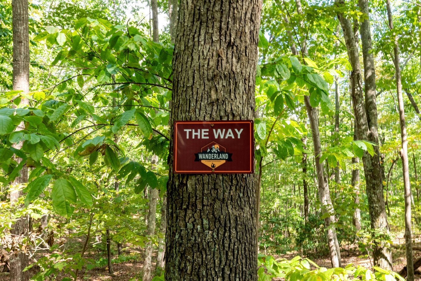 Ein Schild an einem Baum in bewaldetem Gebiet mit dem Text 'THE WAY WANDERLAND'.