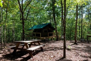Une cabane en bois avec un toit vert, entourée d’une forêt. On aperçoit une table de pique-nique au premier plan.