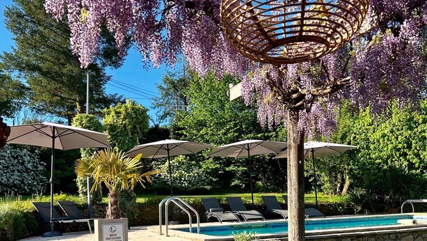 Et poolområde med træbænke, parasoller og en pergola prydet med lilla blomster.