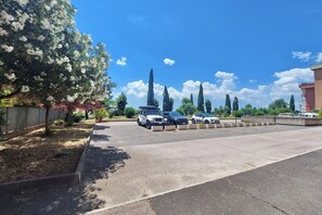 A parking lot with several cars, a tree with white flowers, and tall cypress trees under a clear blue sky.