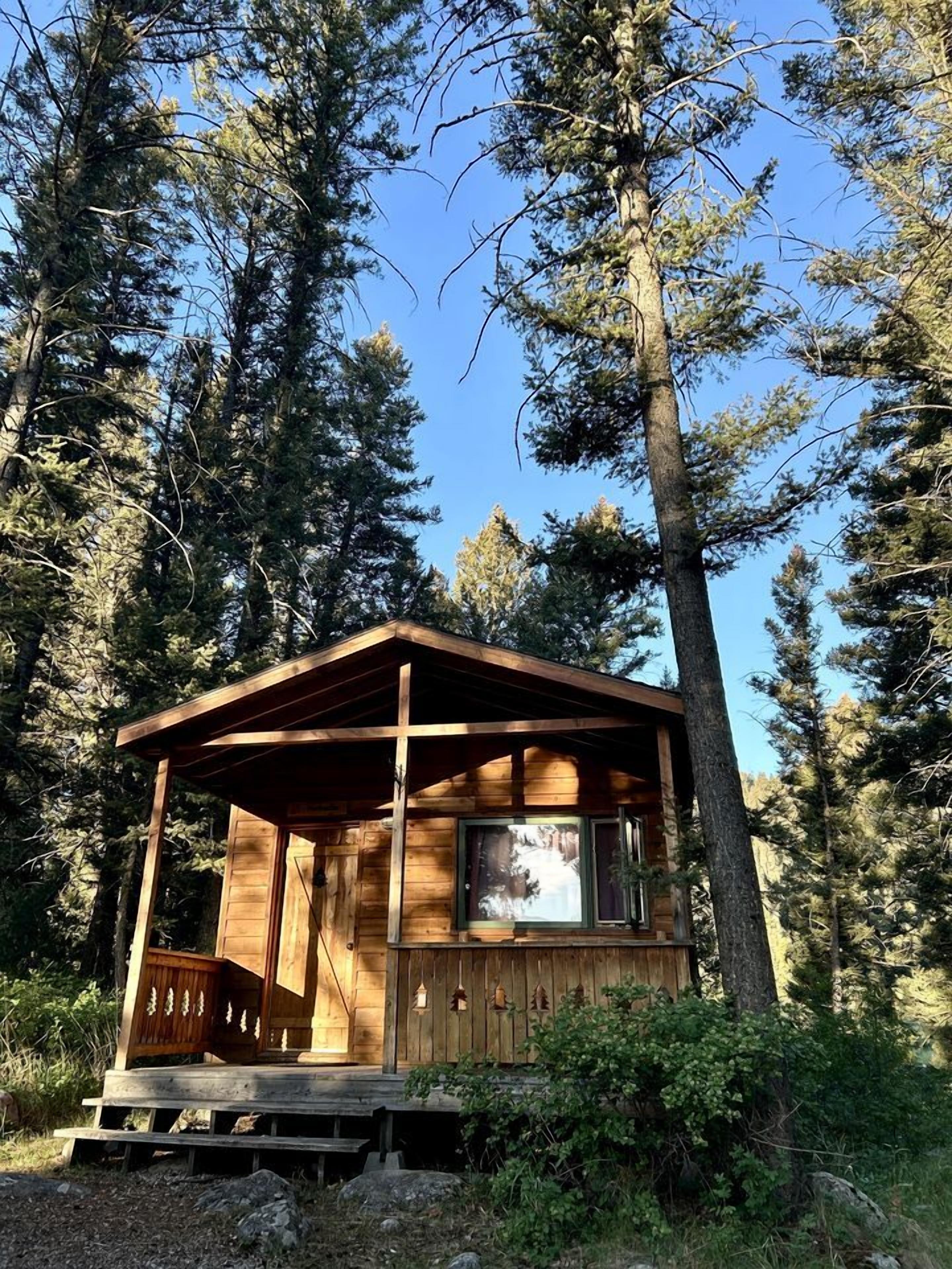 A wooden cabin with a porch, surrounded by tall trees.