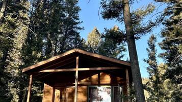A wooden cabin with a porch, surrounded by tall trees.