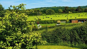 Ländliche Landschaft mit grünen Feldern, vereinzelten Gebäuden und blauem Himmel.