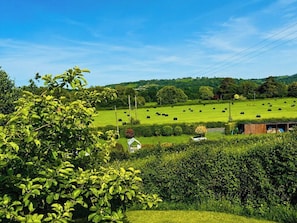 Ländliche Landschaft mit grünen Feldern, vereinzelten Gebäuden und blauem Himmel.