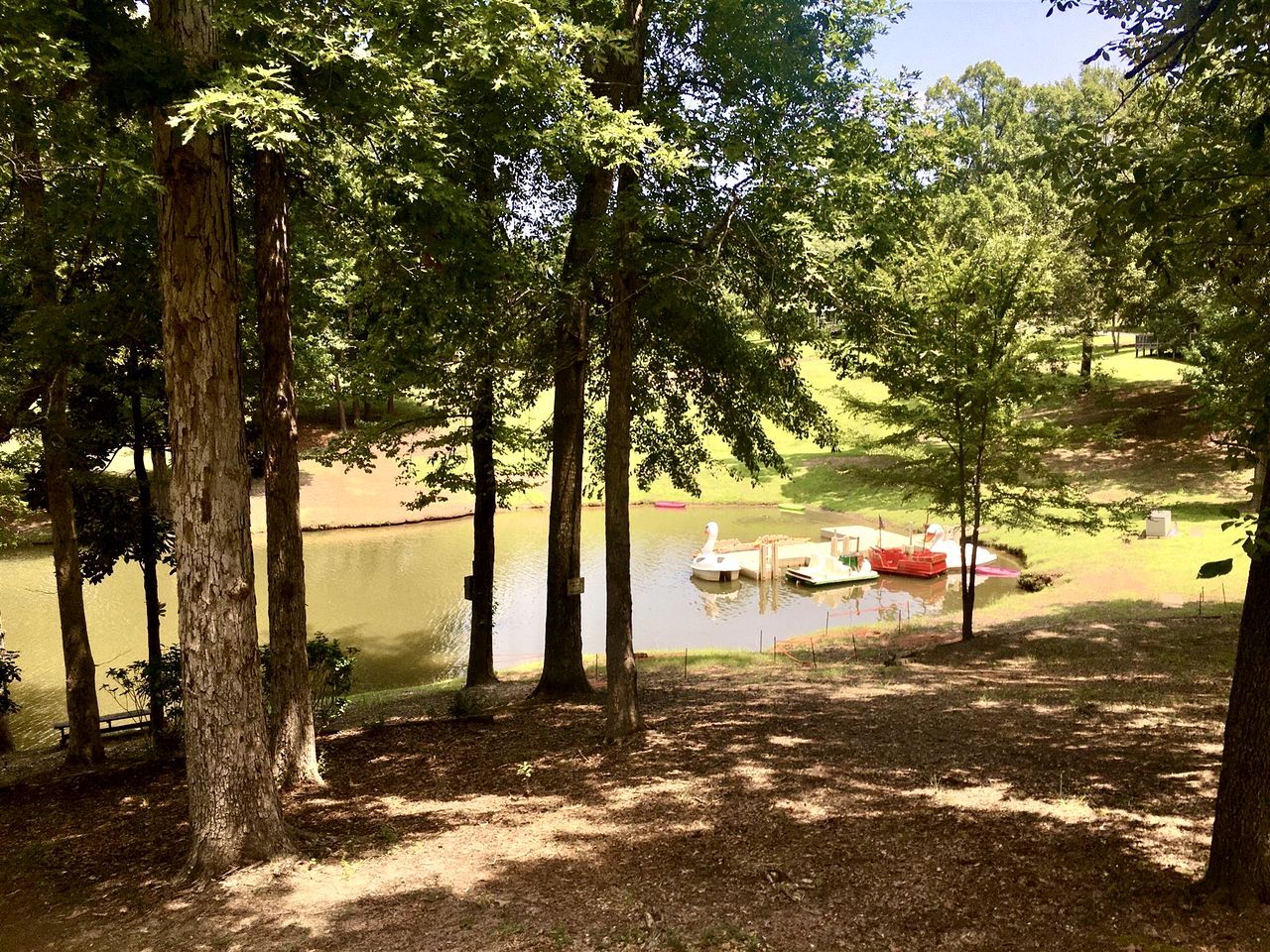 Un paisaje tranquilo junto al lago, con árboles, un muelle y barcos.