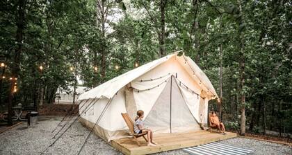 Incredible Tented Cabin with Stunning Forest Views in Sarasota, Florida