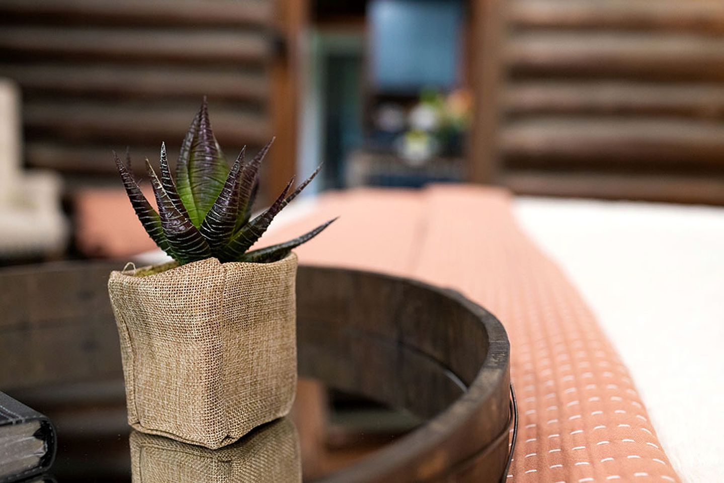 Uma planta em vaso de seringa sobre uma mesa de madeira.