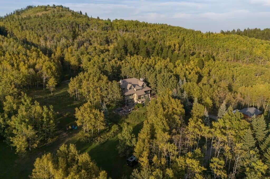 Aerial view