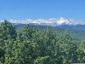 A forested mountain landscape with snow-capped peaks in the distance.