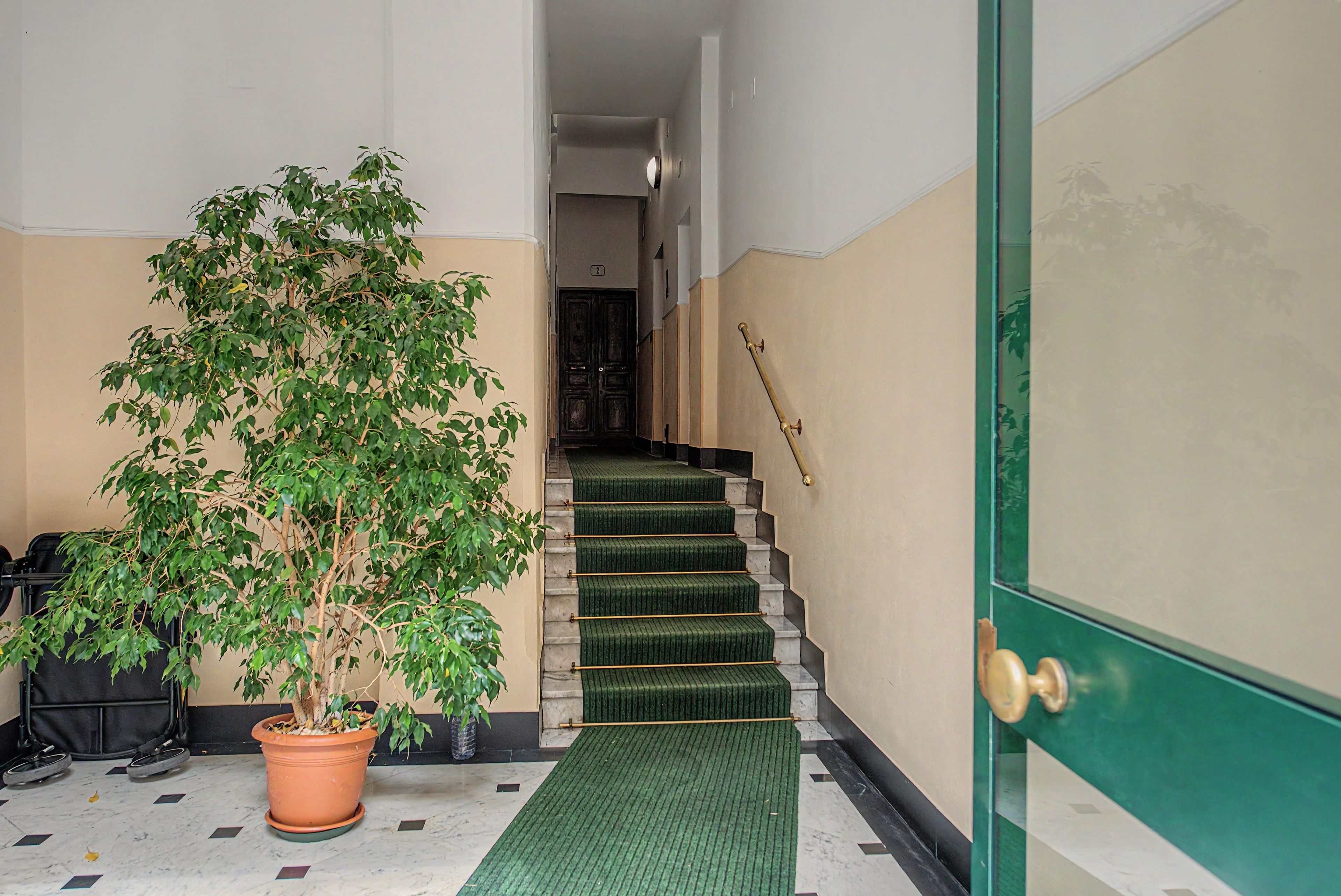 Ein Flur mit einem Blumentopf, einer Treppe mit grünem Teppich und einer Tür mit einer Messingklinke.