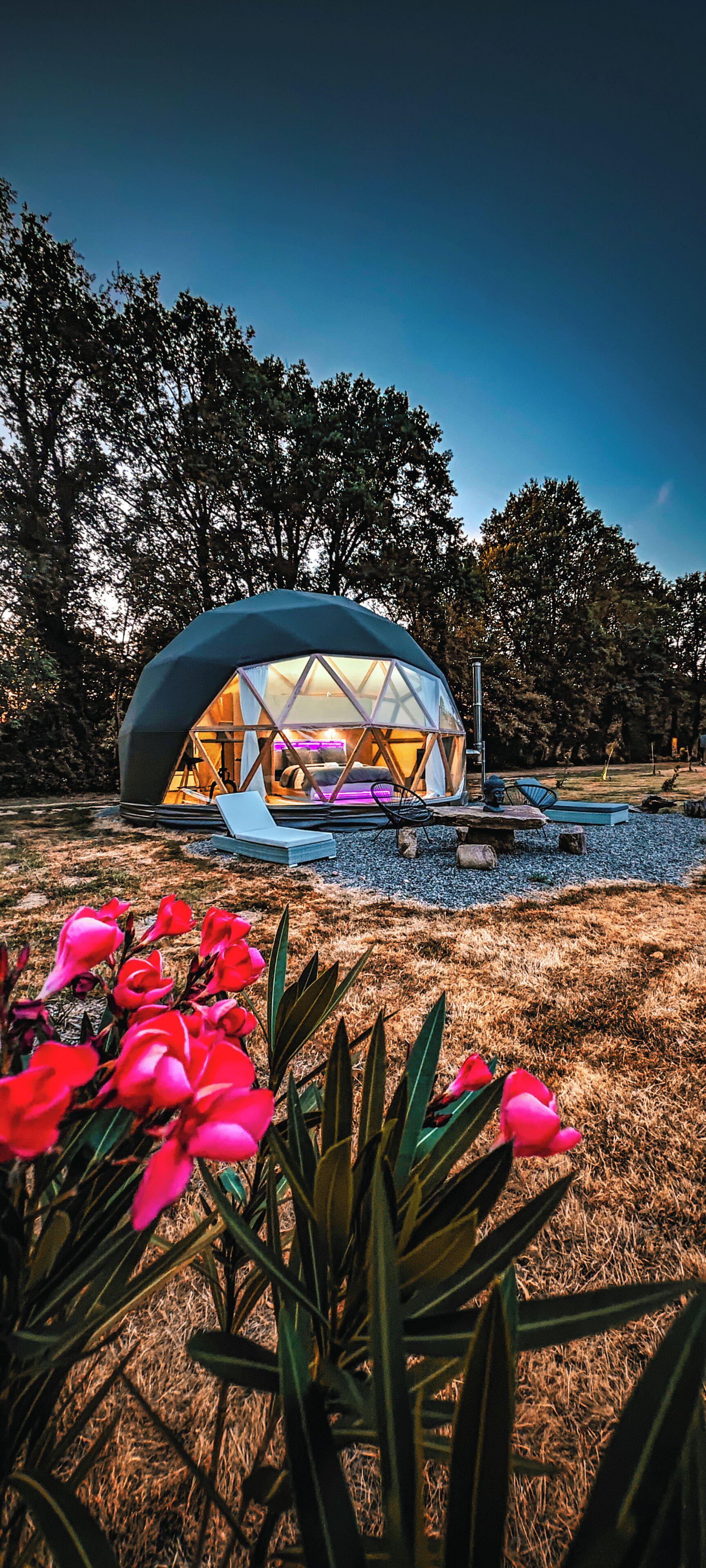 Terrein van de accommodatie