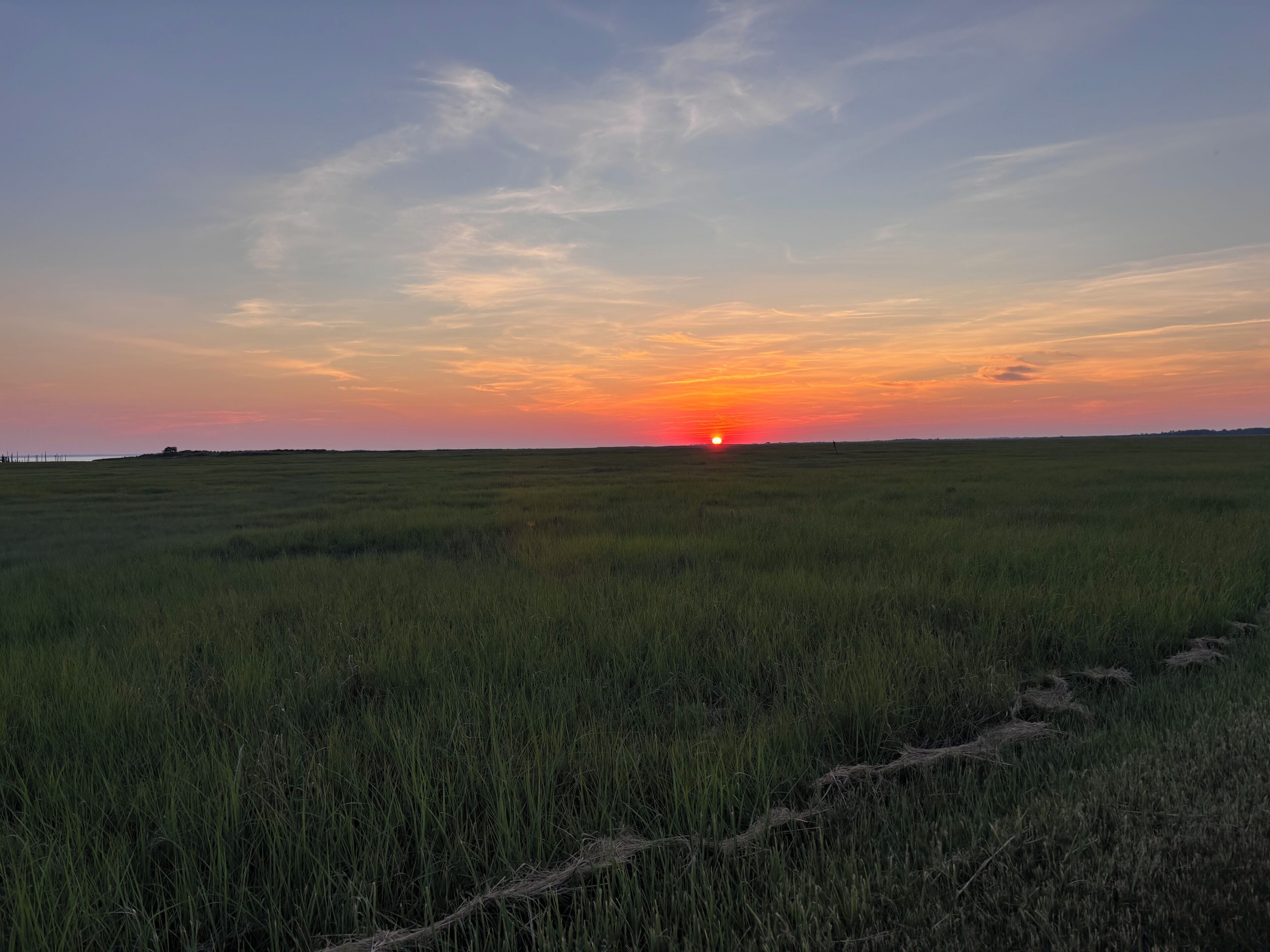 Un paisaje plano con una puesta de sol al horizonte.