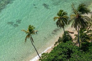 A beach with clear turquoise water, palm trees, and a sandy shore. - Resort Villa | 2BR Steps from the Beach (Juan Dolio)