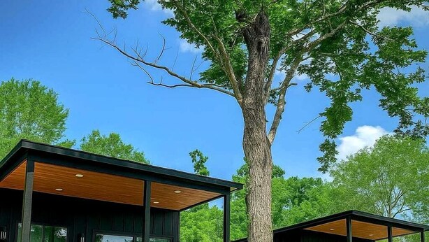 Two modern cabins with large windows, wooden decks, and a tree in the foreground. - Modern Farmhouse Tiny Home Resort with Goats & Pool near Houston, Hempstead Texas (Hempstead)