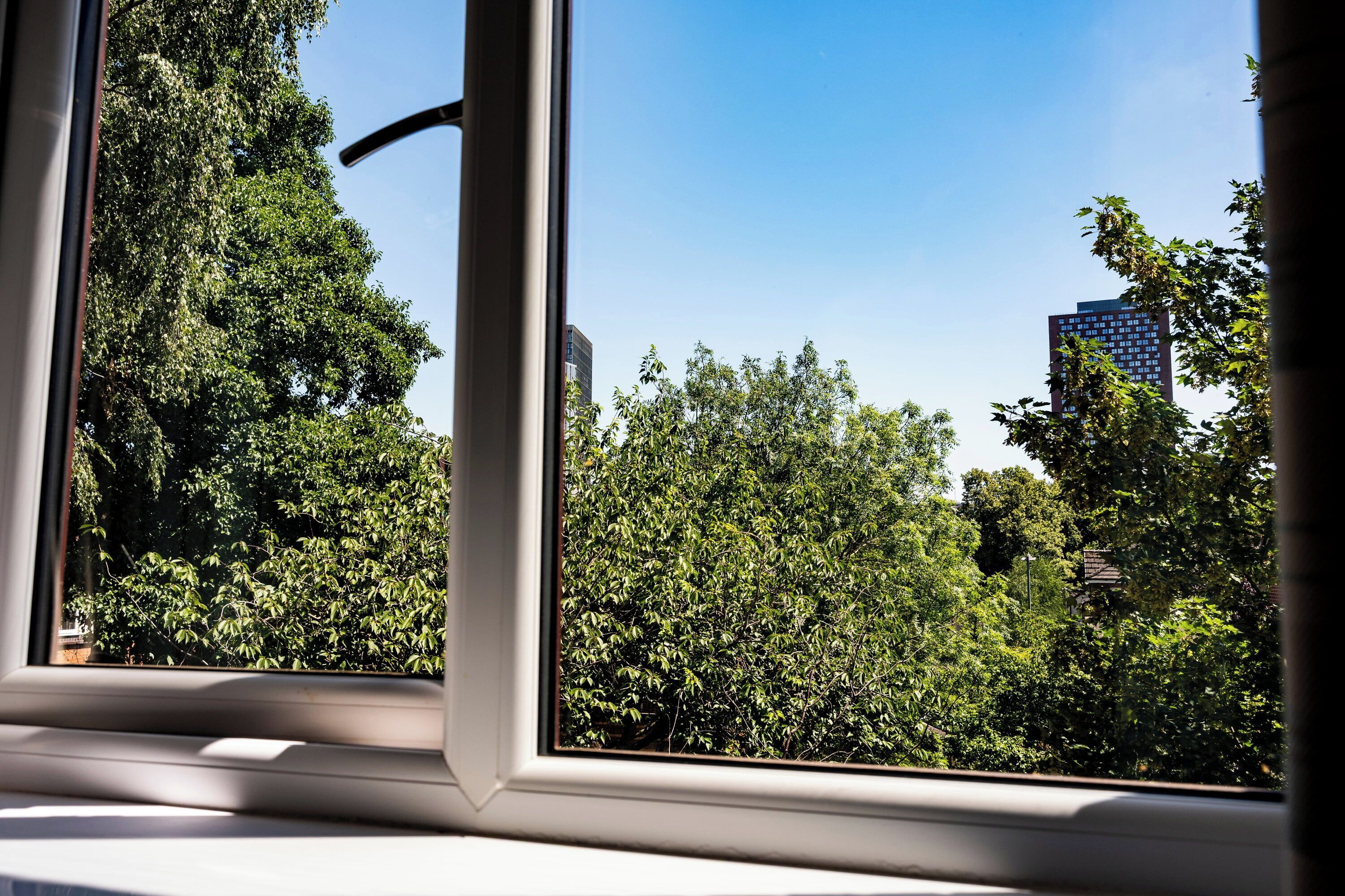 Una ventana con vistas a un follaje verde y un edificio alto al fondo.
