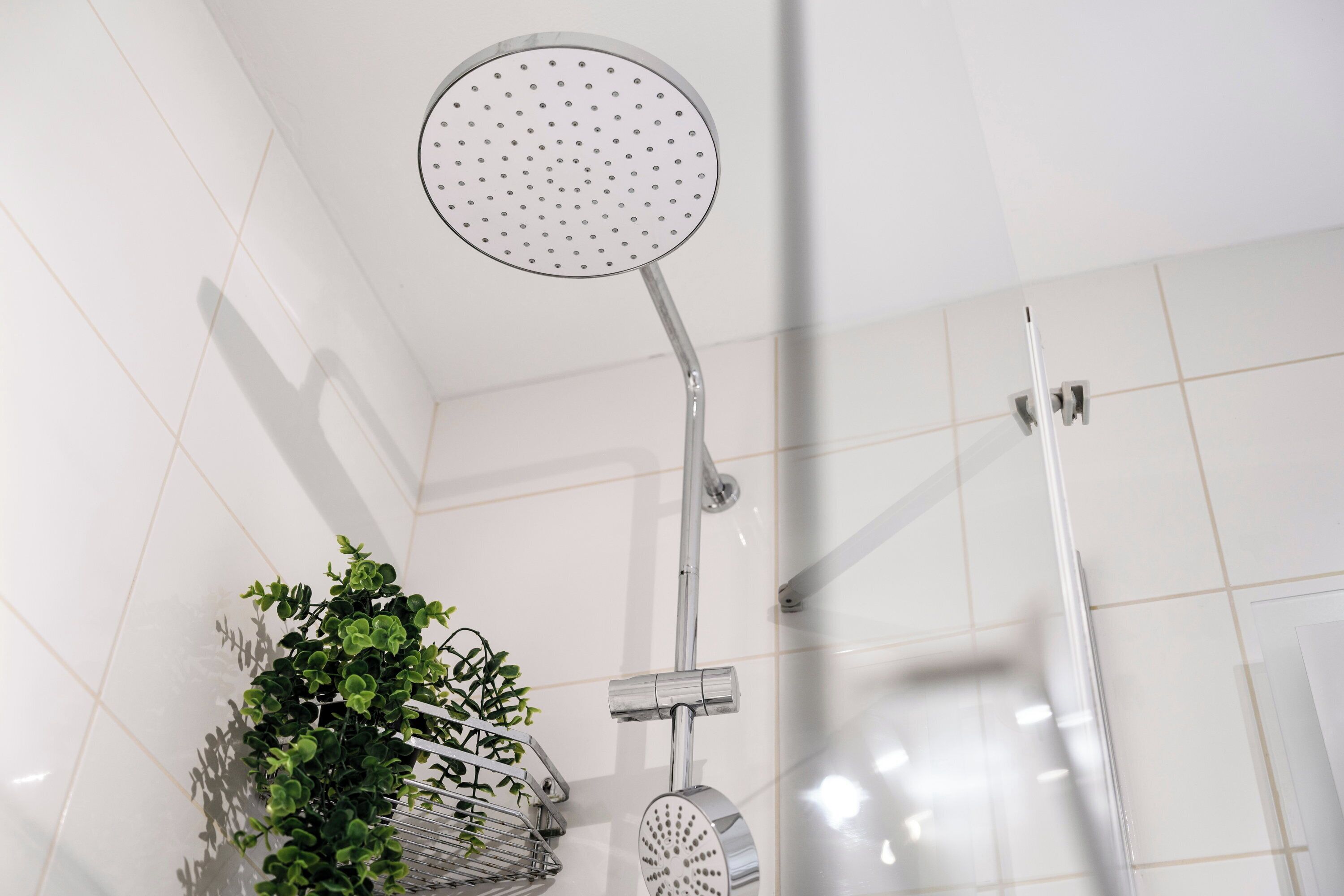 Une douche moderne dotée d’une pomme de douche ronde, d’une poignée en chrome et d’une plante dans un panier en métal.