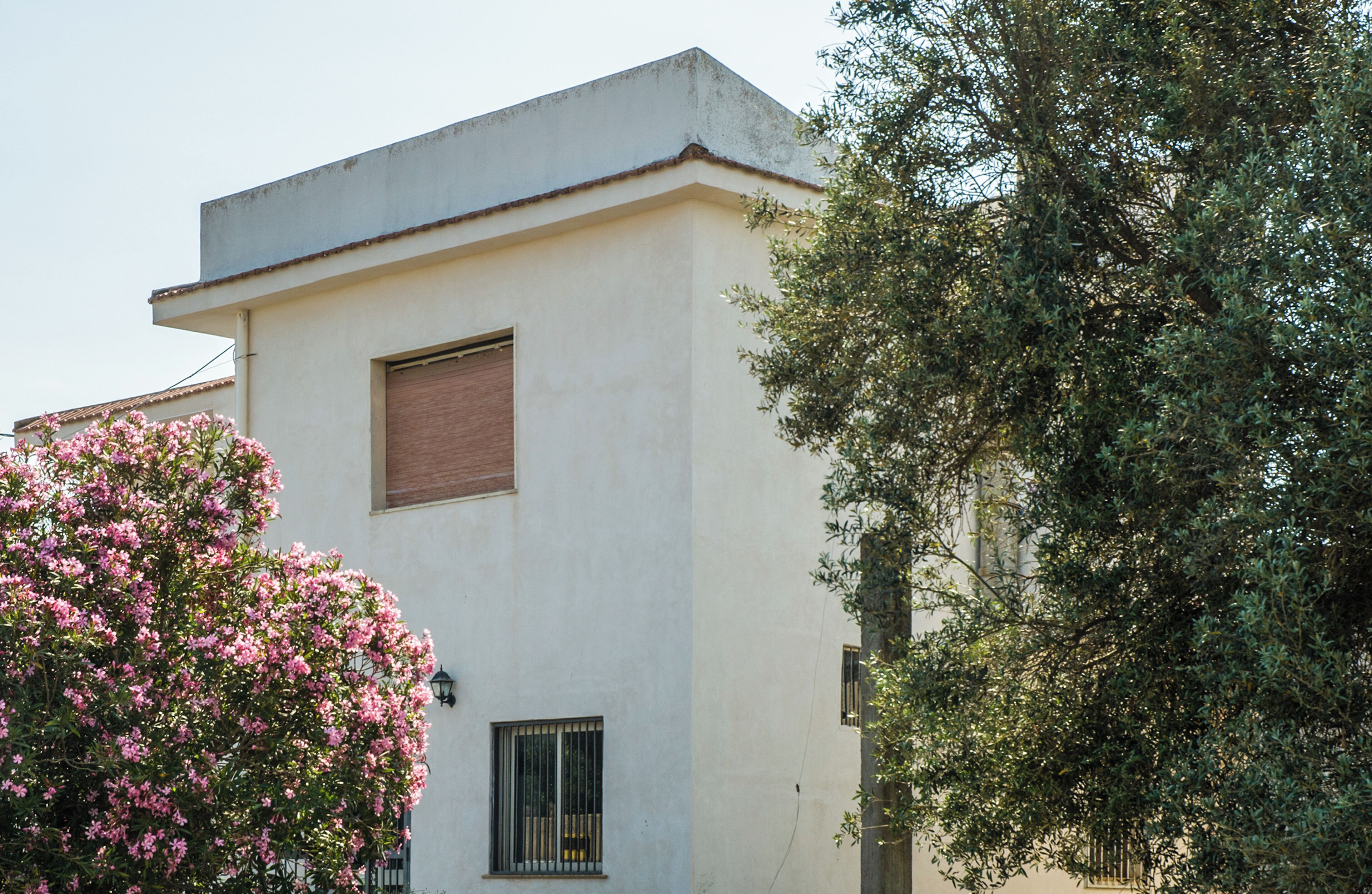 A building with a flat roof, a window with a shutter, and a tree with dense foliage.