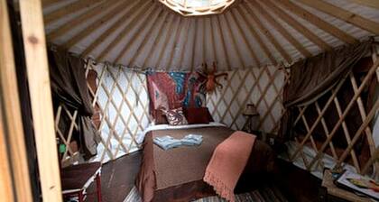 Amazing Yurt Glamping Village in Seward for a True Alaskan Adventure