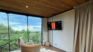 En modern inredning med ett stort fönster, en väggmonterad TV, en bekväm fåtölj och en matta av kohud.