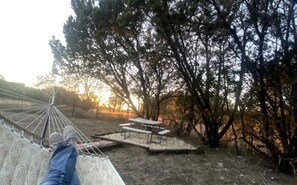Een hangmat, picknicktafel en bankjes in een bebost gebied.