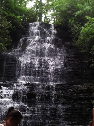 Ocoee Adventure Studio Near Whitewater - Pet