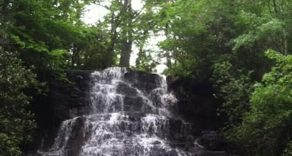 Ocoee Adventure Studio Near Whitewater - Pet