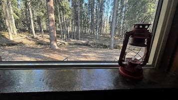 A window with a view of a forest and a red lantern on the sill.