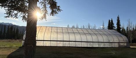 A large greenhouse structure with a curved roof, surrounded by grass and trees, with mountains in the background.
