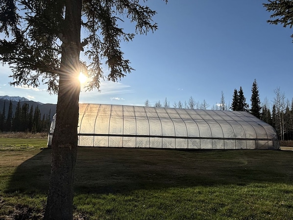 A large greenhouse structure with a curved roof, surrounded by grass and trees, with mountains in the background.