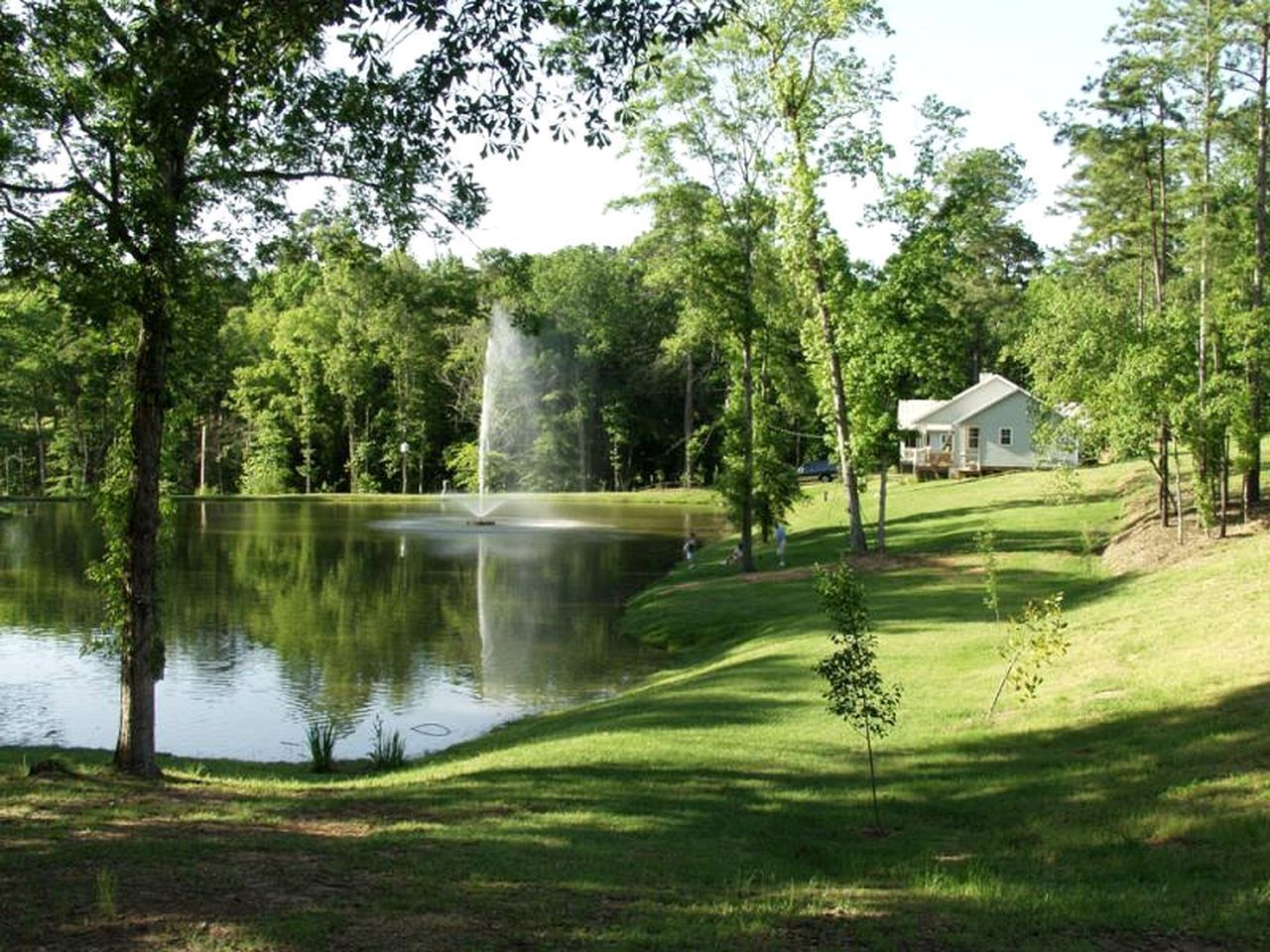 Terrain de l’hébergement 