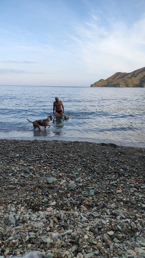 Beach - Family-Friendly Beach Snorkeling Retreat (Taganga)