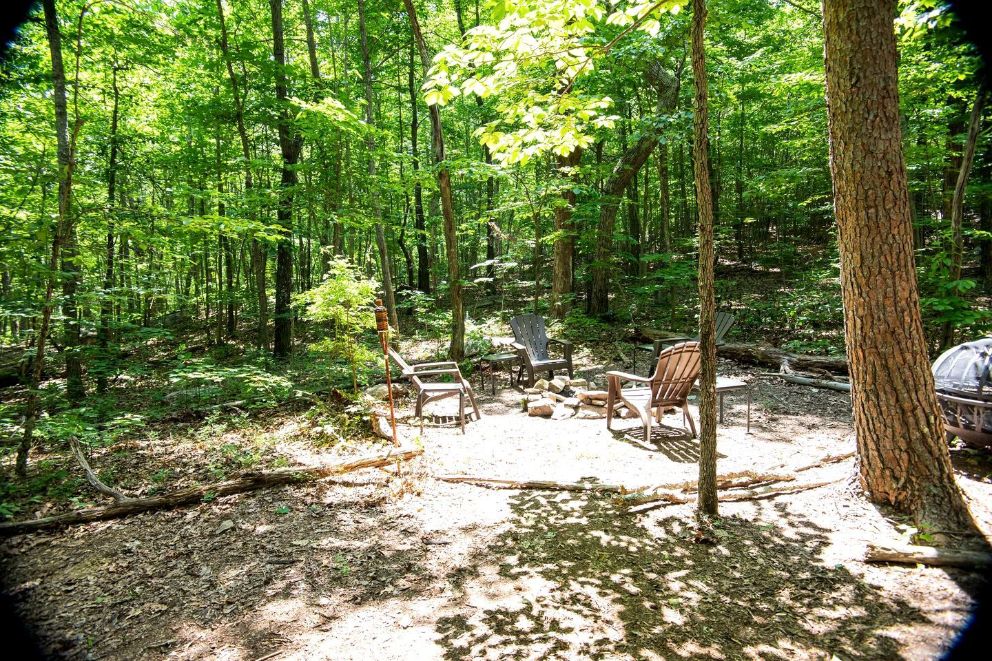 A forested campsite with several Adirondack chairs arranged around a central fire pit.