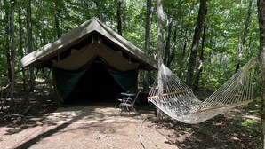 Una tenda amb un hamaca en una zona boscosa.