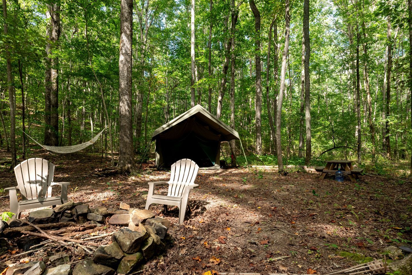 En campingplats i skogen med två Adirondack-stolar, en hängmatta, ett litet trähus och ett picknickbord.