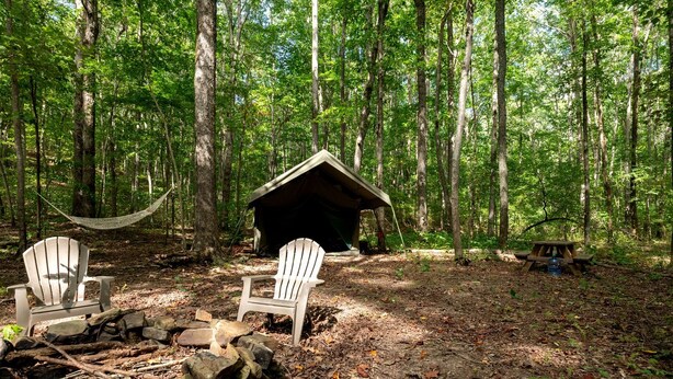 Campament boscà amb dues cadires Adirondack, un hamaca, un petit refugi de fusta i una taula de picnic.