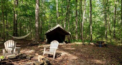 Enchanting Glamping Tent with Hammock & Fire Pit Escape in Rising Fawn, Georgia