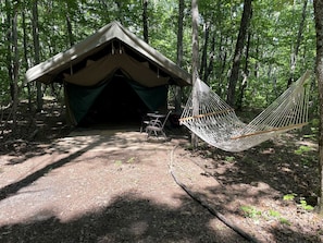 A tent with a hammock in a forested area.